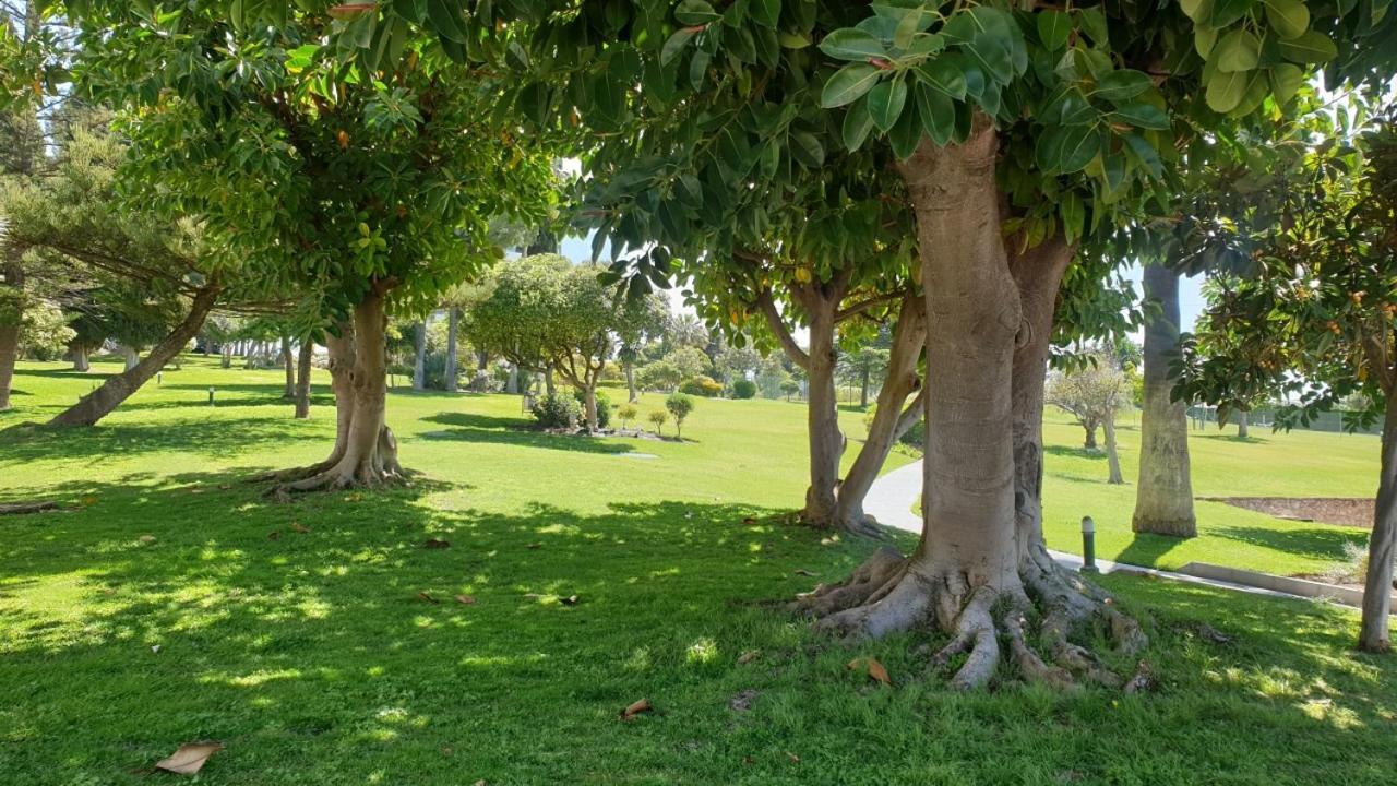 Torres De Aloha 2 Bdr Puerto Banus Apartman Marbella Kültér fotó